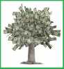 Peníze nerostou na stromě...